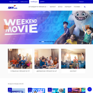  Skymedia Corporation Llc  website