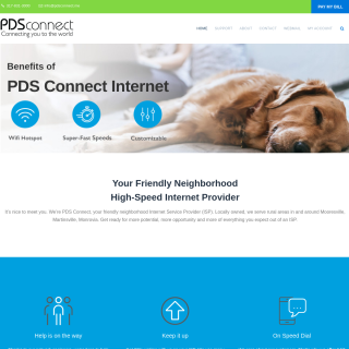  Precision Data Solutions, LLC (PDS Connect)  website