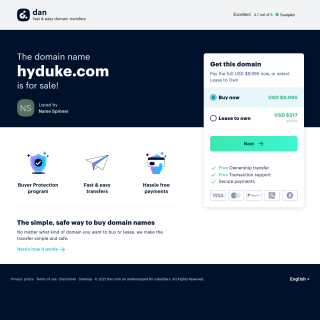  Hyduke Energy Services Inc.  website