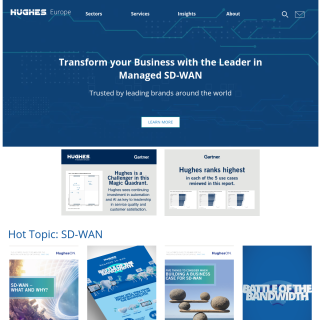 Hughes Network Systems  website
