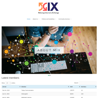  MekongIX Services  website