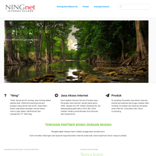  Bali Ning,PT.  aka (NingNet)  website