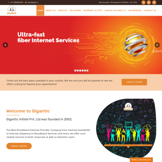 Gigantic Infotel Pvt Ltd  website