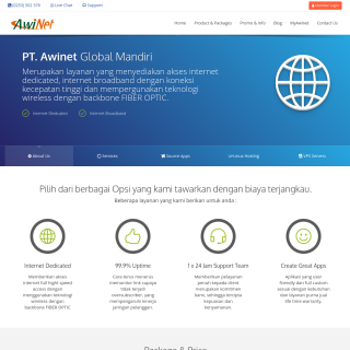 Awinet Global  website