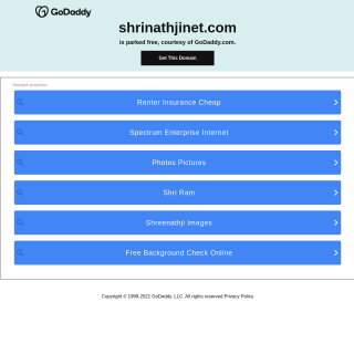  Shrinathji Netsol  website