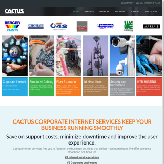 Cactus Network Solutions  website