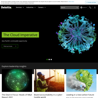 Deloitte Services  aka (Deloitte Australia)  website