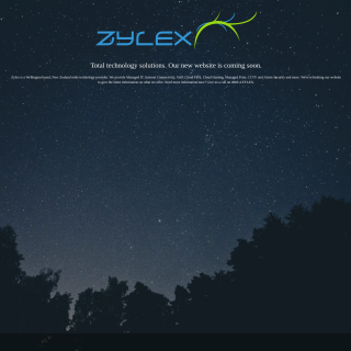  Zylex  website