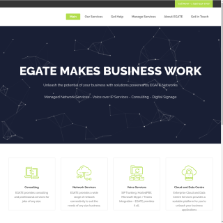 EGate Networks Inc.  website