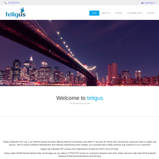 Teligus Networks  website