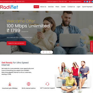 Radinet Info Solutions  website