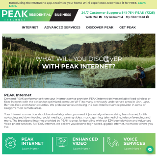 PEAK Internet  website