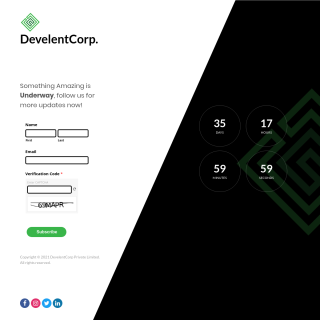 DevelentCorp  website