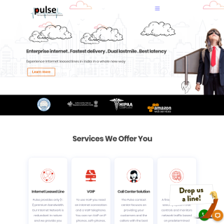  Pulse Telesystems Pvt Ltd  aka (Beat Connect)  website