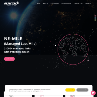  Nesecure Networks  website