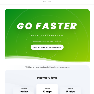  Triveniview Enterprises  aka (Tvnet)  website