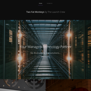 Launch Crew aka (Two Fat Monkeys) website