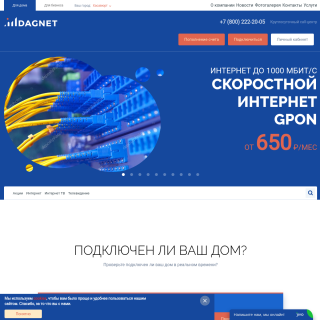  DagNet  website