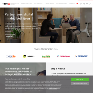  True B.V.  aka (True, TrueServer)  website