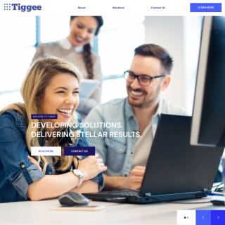  Tiggee  aka (DNS Made Easy / Constellix)  website