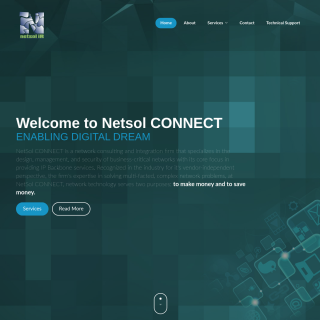 NetSol Connect  website
