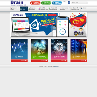  Brain Telecommunication  aka (BrainNet)  website