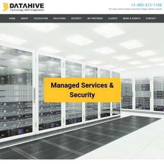 DataHive  website