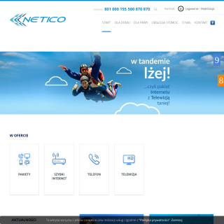  NETICO S.C.  website