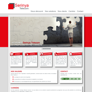 Serinya Telecom  website