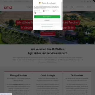 ahd GmbH & Co. KG  website