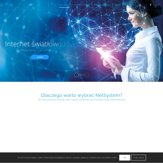  Netsystem  website