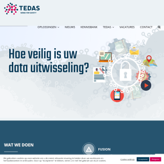  Tedas  website