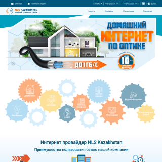 NLS Kazakhstan  website
