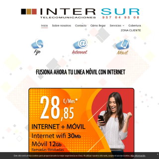 INTERSUR website