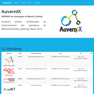  AuvernIX Route Servers  website