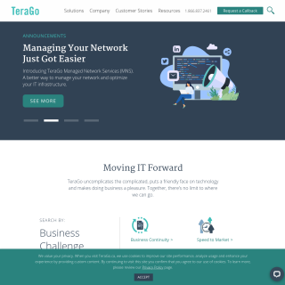  TeraGo Networks Inc.  aka (TeraGo)  website
