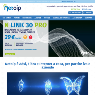 Netoip.com  website