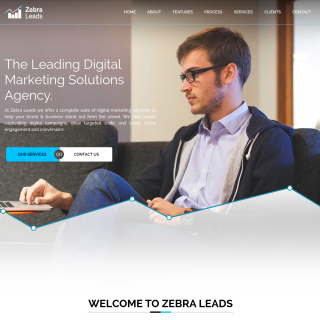  ZL.IS Anycast  website