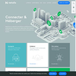 Netalis  website