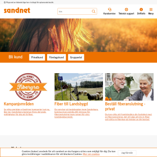 Sandviken Network  website