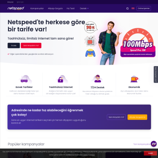  NETSPEED  website