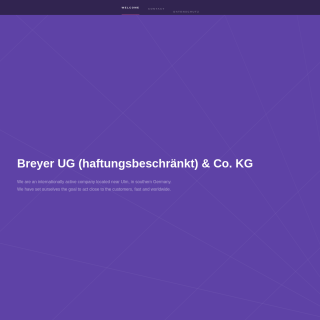  Breyer  website
