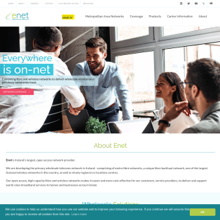 Enet Telecommunications Networks Limited  website