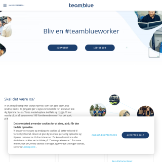 team.blue Nordic  website