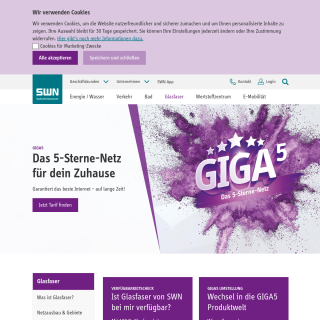  SWN Stadtwerke Neumünster  website