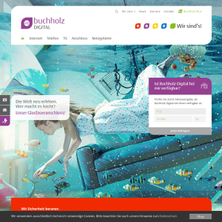Buchholz Digital  website