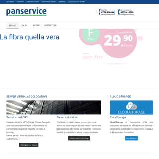 Panservice  website