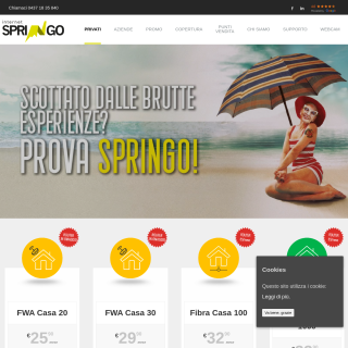 Springo  website