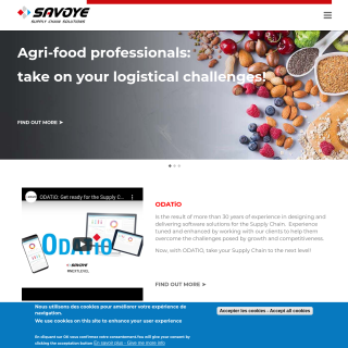  Savoye  website