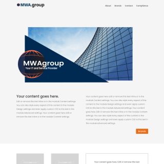  MWA.group  aka (FlexHost.io)  website